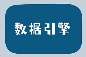 数据引擎